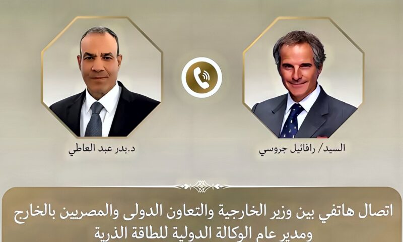اتصال بين وزير الخارجية والمدير العام للوكالة الدولية للطاقة الذرية لبحث التعاون الثنائي والقضايا الإقليمية