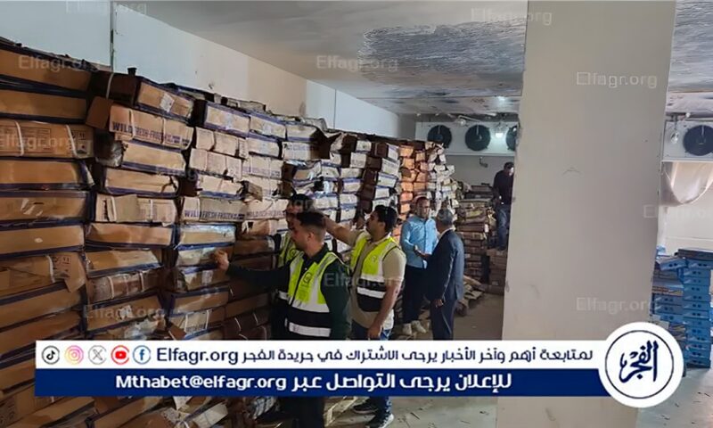 قبل انطلاق مولد السيد البدوي.. ضبط 41 طن هارنج منتهي الصلاحية بالغربية