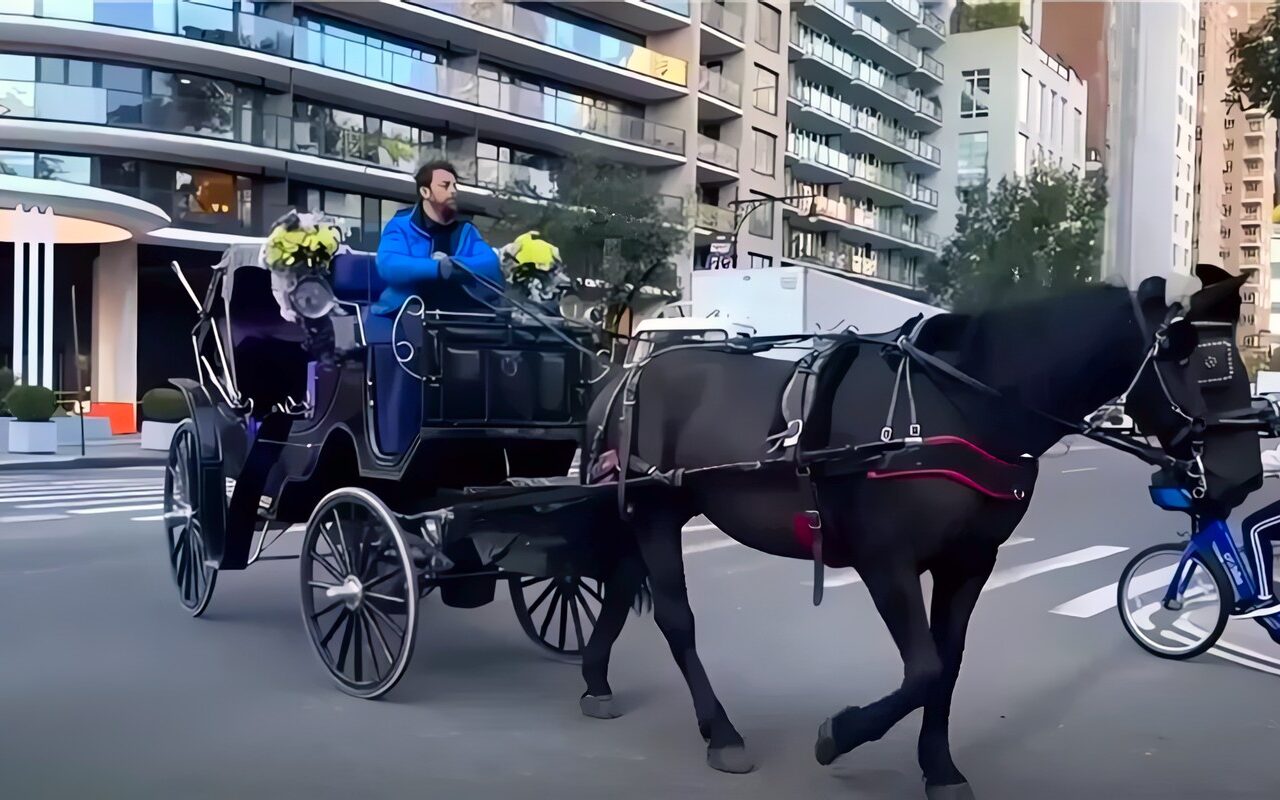بتأييد ممداني، نيويورك تصوت على حظر عربات الخيول بعد وفاة سائح هندي