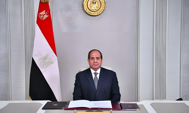 السيسي يشيد بدور مجموعة “دانج وتي” في دعم جهود التنمية الاقتصادية والتصنيع بأفريقيا