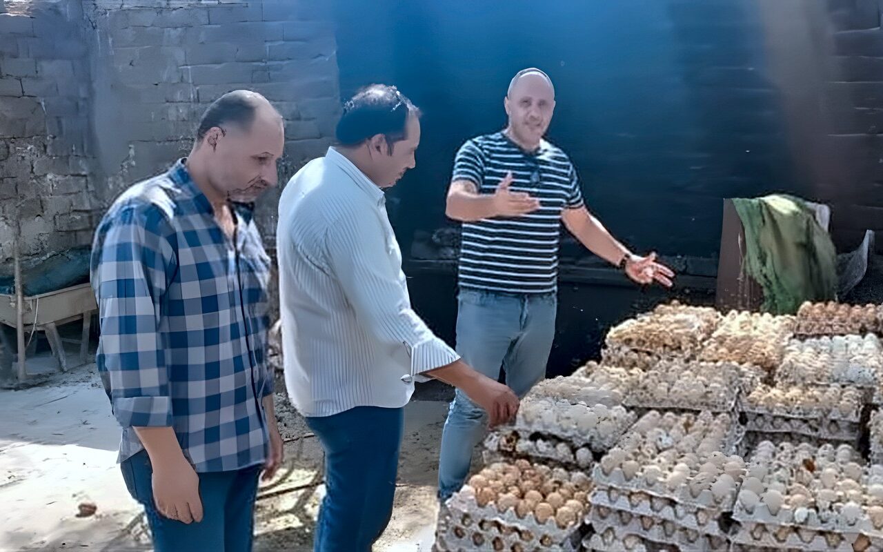 ضبط 105 آلاف بيضة فاسدة داخل مزرعتين غير مرخصتين بالغربية