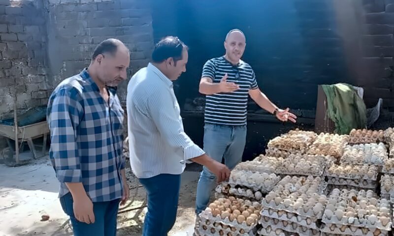 ضبط 105 آلاف بيضة فاسدة داخل مزرعتين غير مرخصتين بالغربية