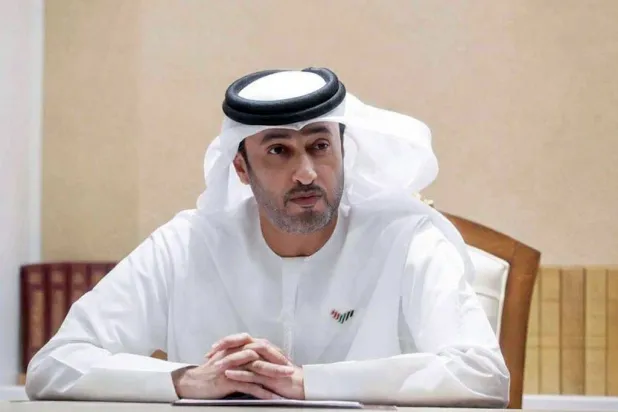 الإمارات تشكل فريقاً للتحقيق في واقعة طائرة «فلاي دبي»