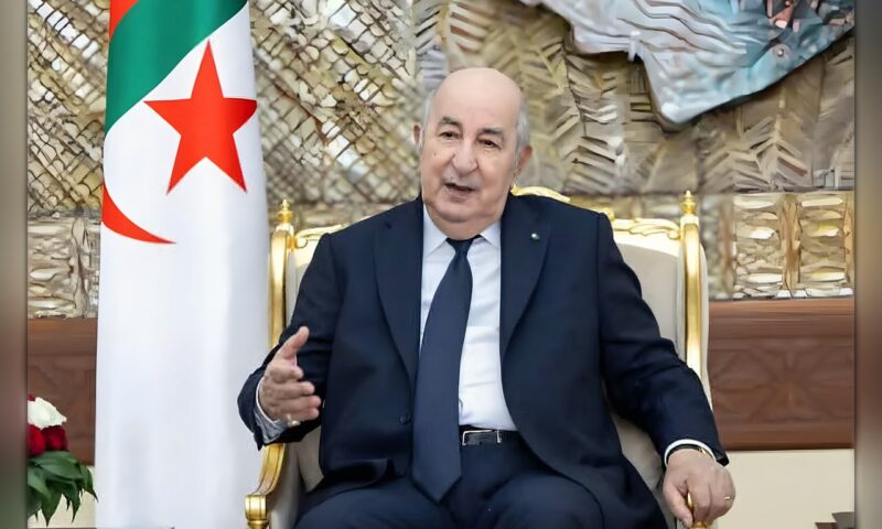 تبون: أرسلنا طائرات إلى النيجر لمواجهة انقلاب