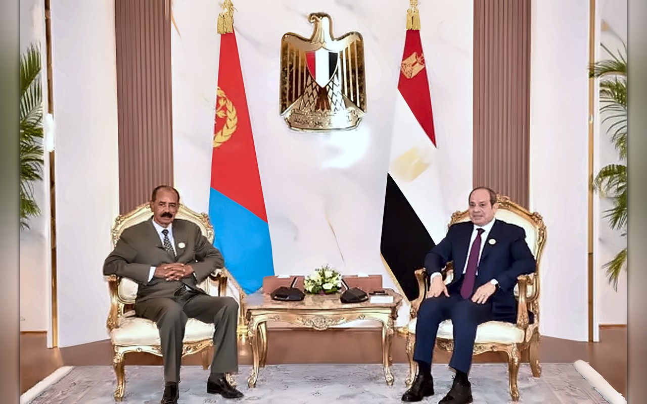 مصر تنسق مع إريتريا والسودان والصومال بشأن اضطرابات «القرن الأفريقي»