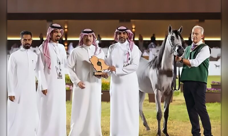 «نوف عذبة» و«الفهد» يحصدان الذهب في بطولة جمال الخيل العربية