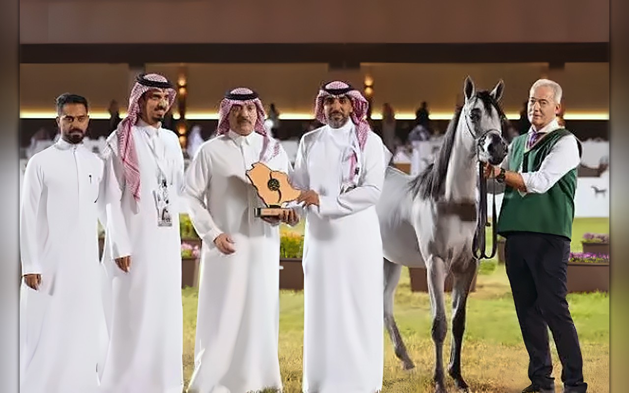 «نوف عذبة» و«الفهد» يحصدان الذهب في بطولة جمال الخيل العربية