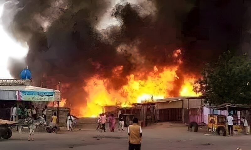 لجنة التعليم بالبرلمان الأوروبي: الدعم السريع تتحمل مسؤولية ما يحدث في السودان