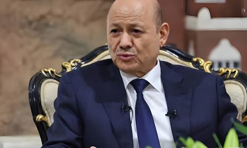 رئيس مجلس القيادة اليمني: ألحقنا خسائر فادحة بالمليشيات المدعومة من النظام الإيراني