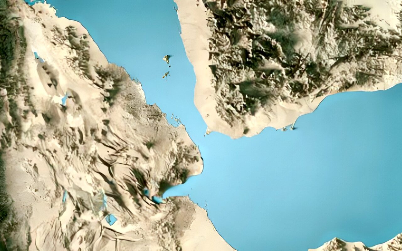 مستشار رئيس مجلس القيادة اليمني:  القوات اليمنية تتحرك للسيطرة على الساحل الغربي المحاذي لباب المندب