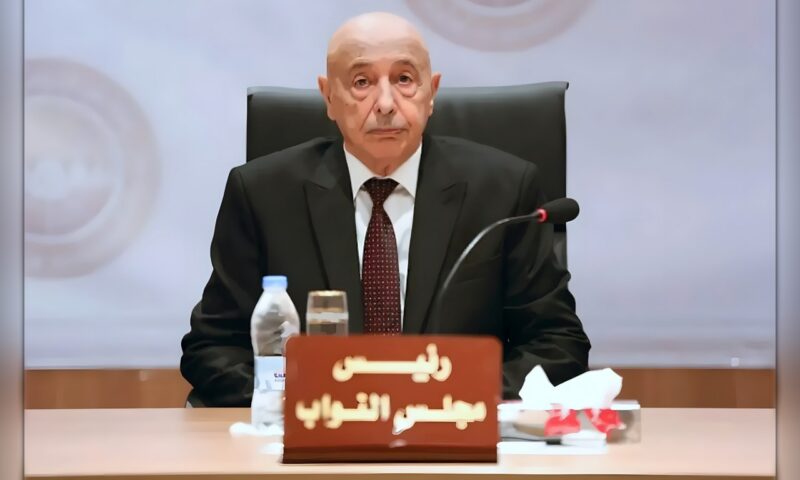 هل تمهّد جلسة «النواب» الليبي المنتظرة لإقالة عقيلة صالح؟