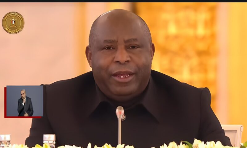 رئيس الاتحاد الأفريقي: لن نسمح بنهب ثروات أفريقيا.. وندعو لتحويل الثروات الخام إلى منتجات