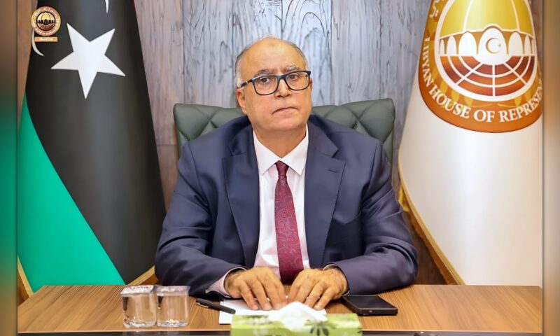 انفتاح رئيس «النواب» الجديد على «الأعلى للدولة» يختبر المسار السياسي في ليبيا