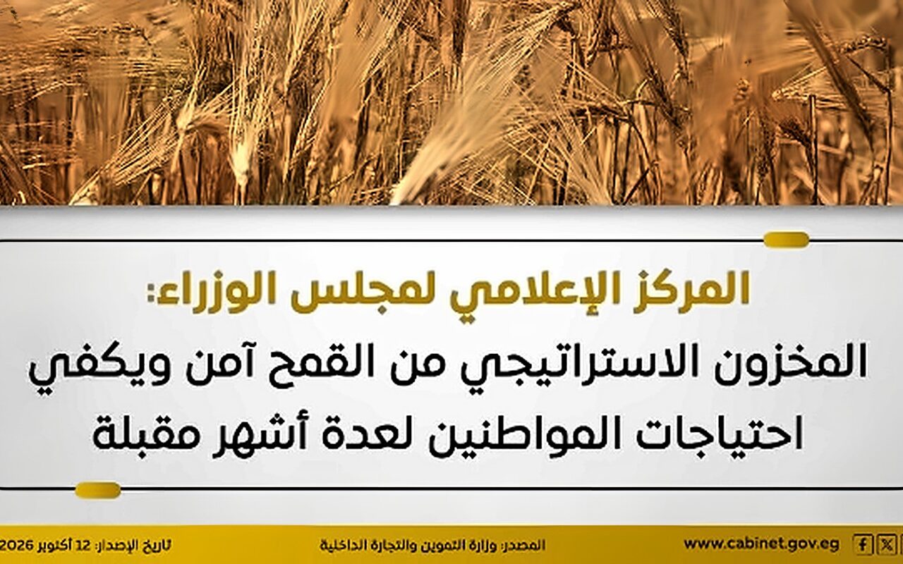 الوزراء: المخزون الاستراتيجي من القمح آمن ويكفي احتياجات المواطنين لعدة أشهر