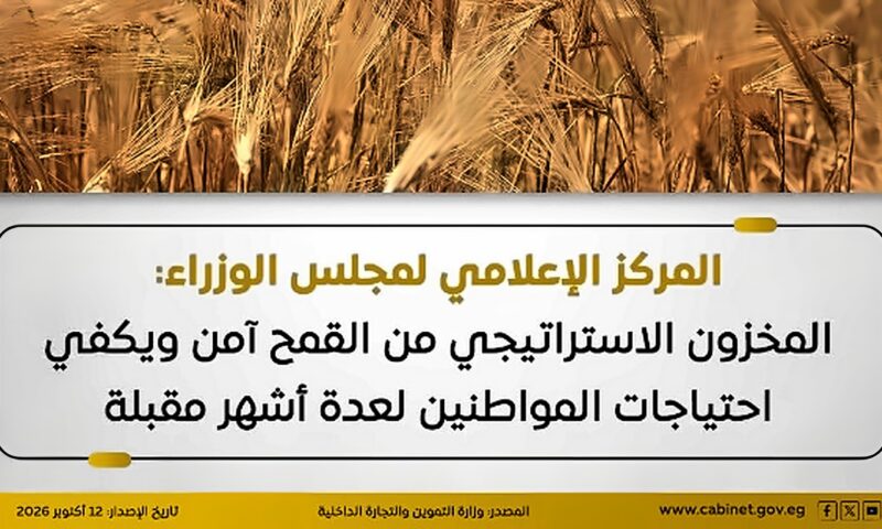 الوزراء: المخزون الاستراتيجي من القمح آمن ويكفي احتياجات المواطنين لعدة أشهر