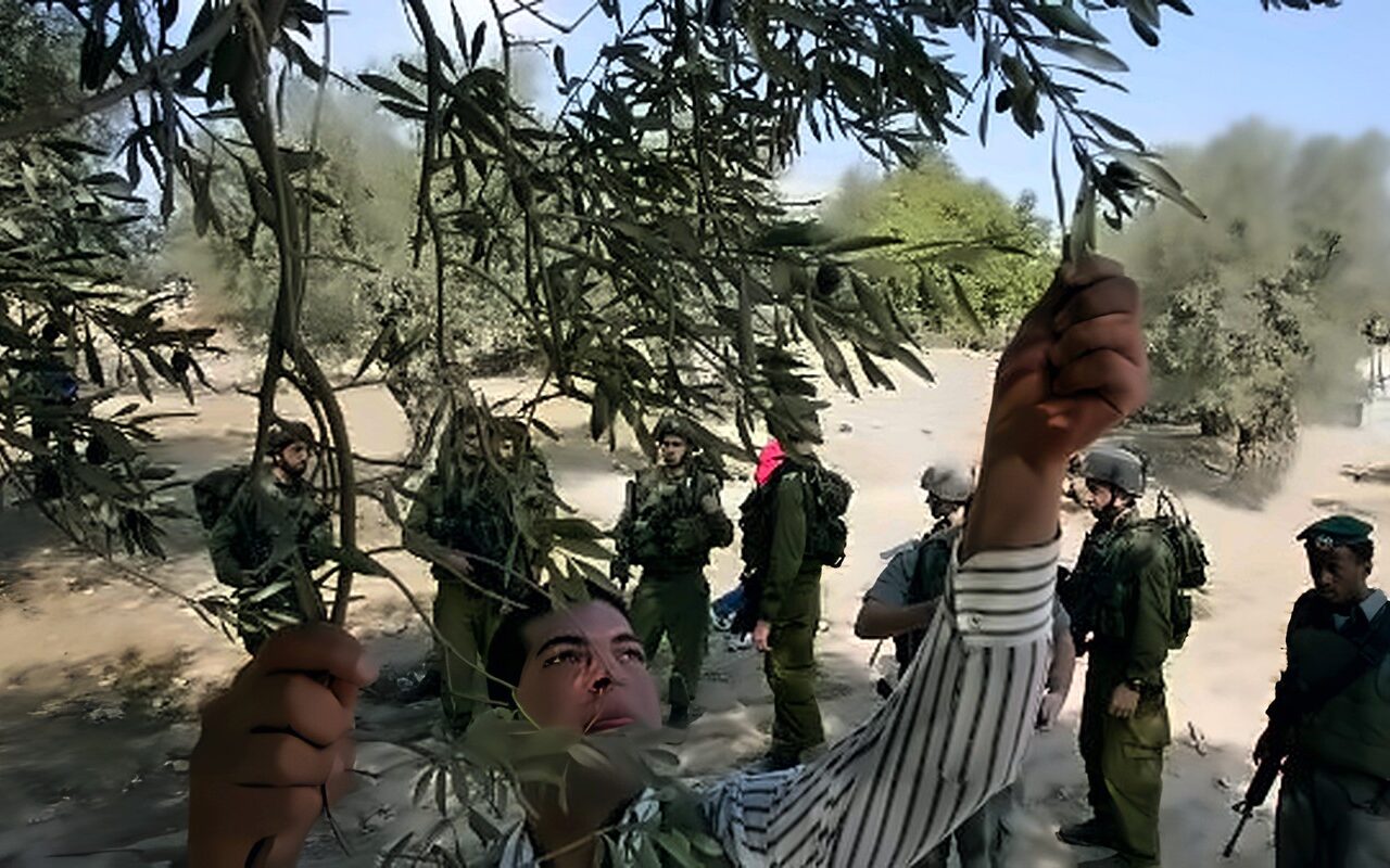 مستوطنون وجنود إسرائيليون يمنعون الفلسطينيين من حصاد الزيتون في الضفة