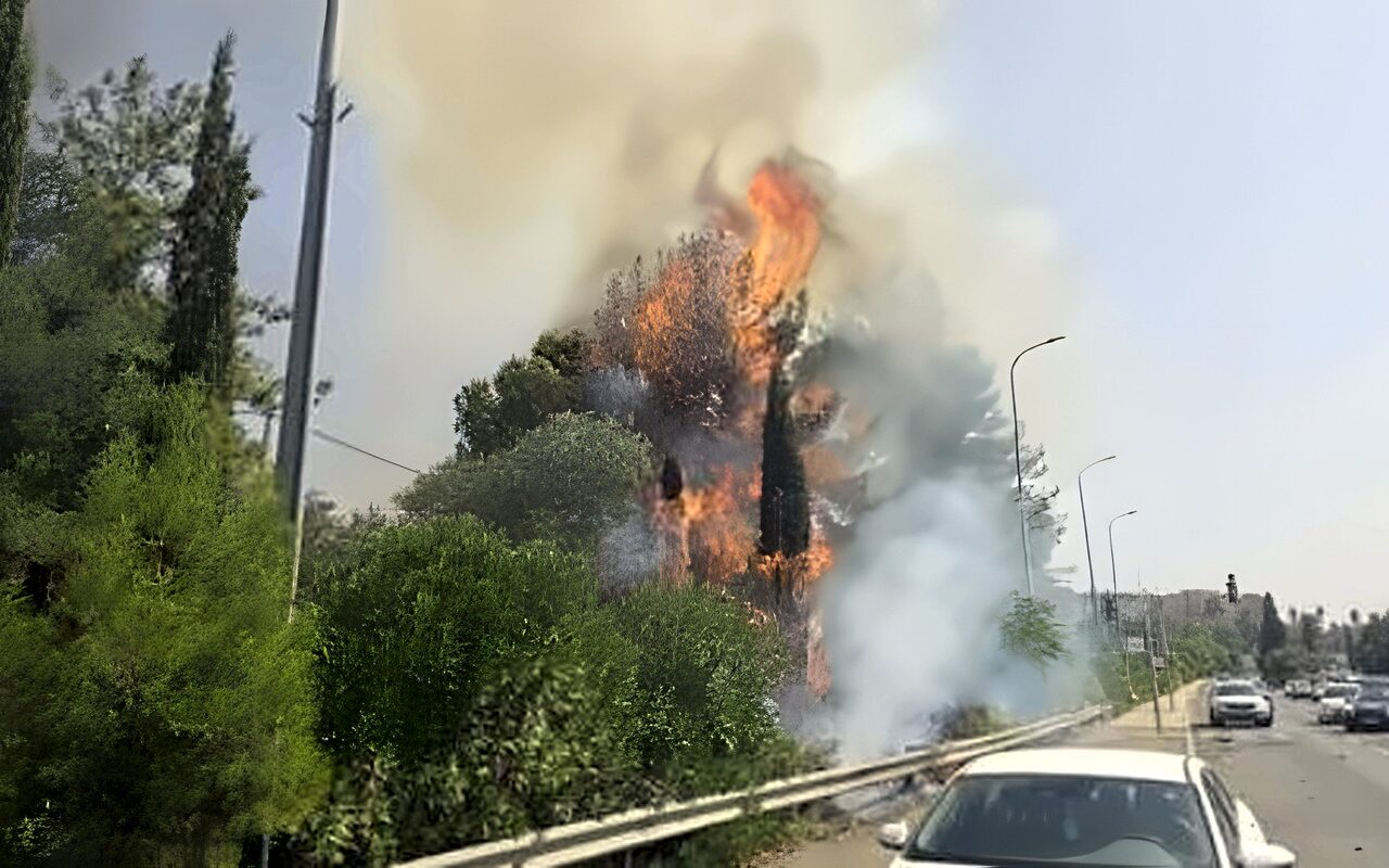 ألسنة اللهب تضرب شمال إسرائيل.. حريق غابات يستنفر فرق الإطفاء