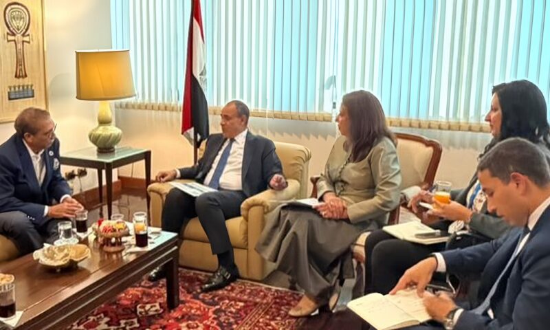 وزير الخارجية يبحث مع رئيس «إندوراما فنتشرز» التايلاندية زيادة الاستثمارات وتوسيع التصنيع في مصر