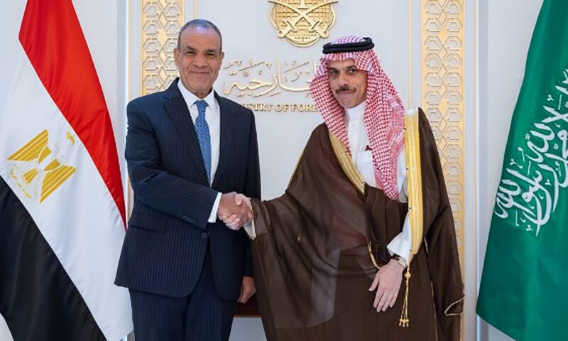 وزير الخارجية يبحث مع نظيره السعودي التطورات الإقليمية وجهود خفض التصعيد