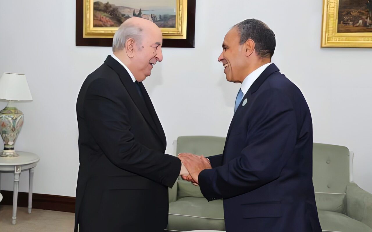 وزير الخارجية يلتقي رئيس الجزائر.. وتأكيد مصري على تعزيز التعاون المشترك