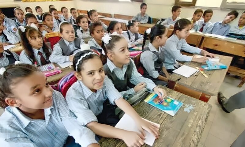 خبير تربوي عن شكاوى أولياء الأمور من منهج الرياضيات: تعتمد على الفهم والتخيل العقلي