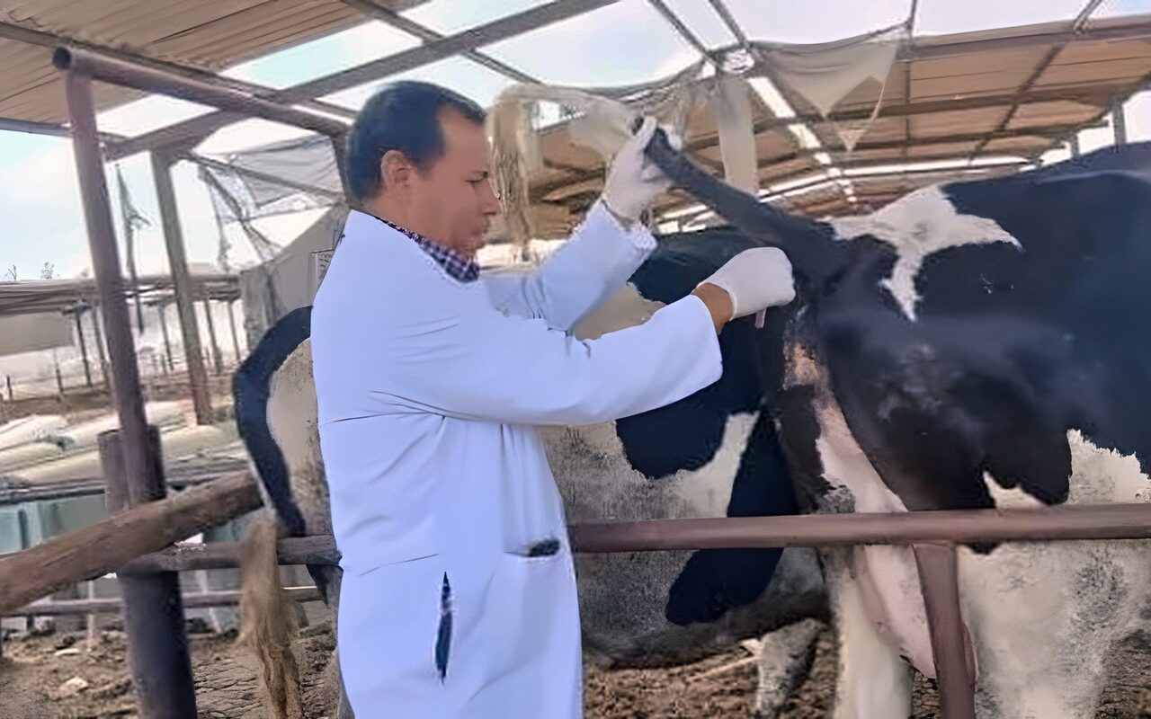 الخدمات البيطرية تكشف خطة مواجهة الأمراض الحيوانية العابرة للحدود