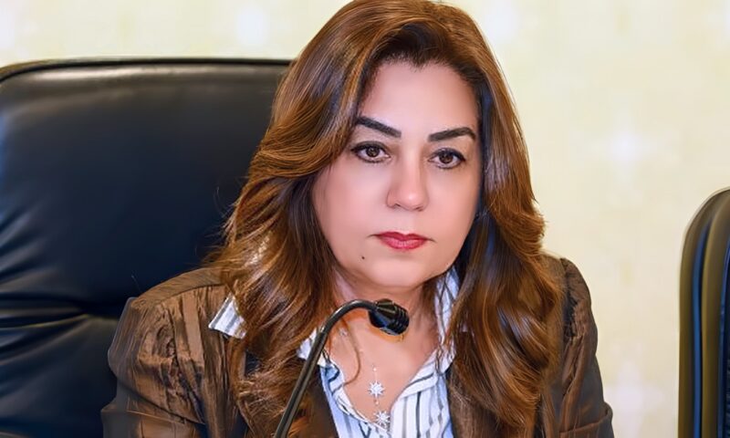 منال عوض توجه المحافظات بإنجاز الرفع المساحي لطلبات تقنين أراضي الدولة