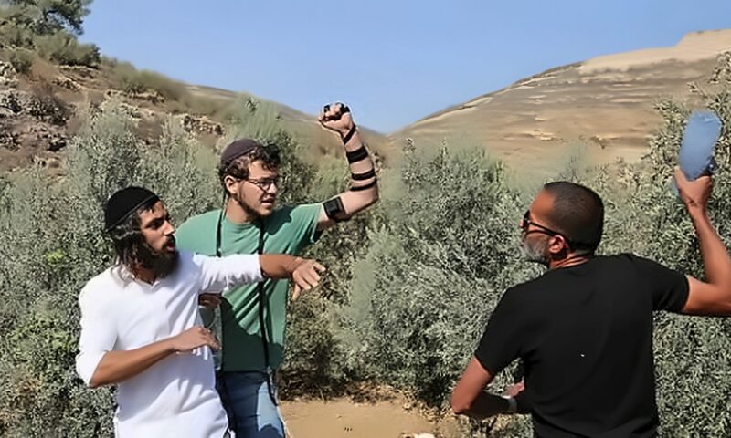 إصابة عشرات الفلسطينيين جراء هجوم مستوطنين على المزارعين بجنوب نابلس
