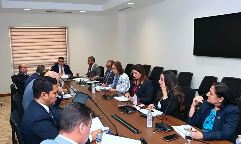 طارق رضوان: تطوير منظومة حقوق الإنسان يمثل مسارًا مستمرًا