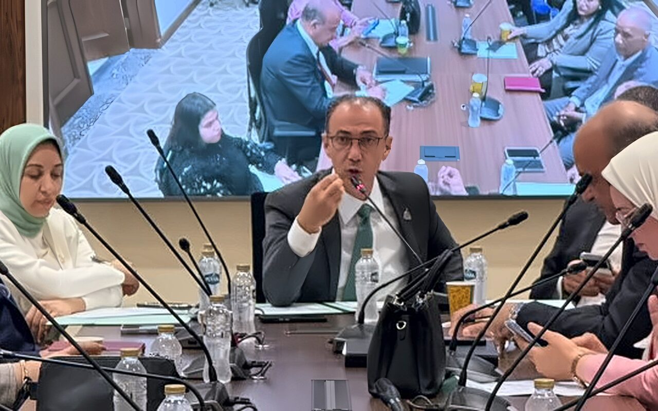 «صحة النواب» تستعرض خطة عملها.. وتؤكد: نتواصل مع الحكومة لمواجهة مشكلة منظومة الدواء