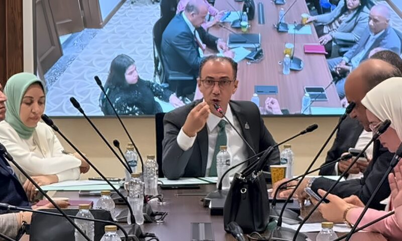 «صحة النواب» تستعرض خطة عملها.. وتؤكد: نتواصل مع الحكومة لمواجهة مشكلة منظومة الدواء