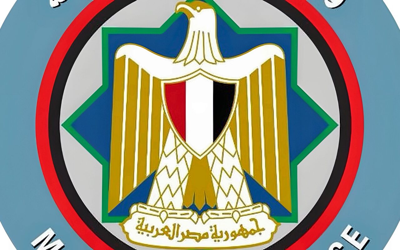 المالية”: نعمل على زيادة تدفقات الاستثمار الأجنبي المباشر ودفع زيادة الصادرات