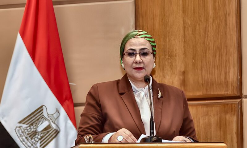 قومي المرأة: ربط المشروعات الخضراء بالأسواق والتمويل لتعزيز التمكين الاقتصادي للمرأة