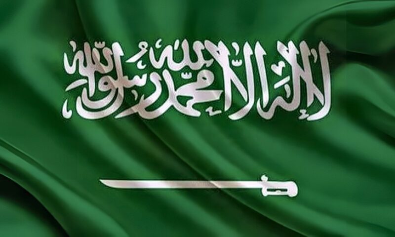 السعودية توقع 4 مذكرات تفاهم مع منغوليا وتنزانيا وقبرص وموريشيوس للتعاون في مجالات الطاقة