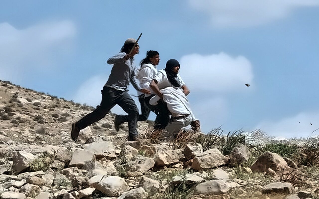 14 واقعة اعتداء على المزارعين الفلسطينيين وموسم الزيتون خلال يوم واحد في أربع محافظات