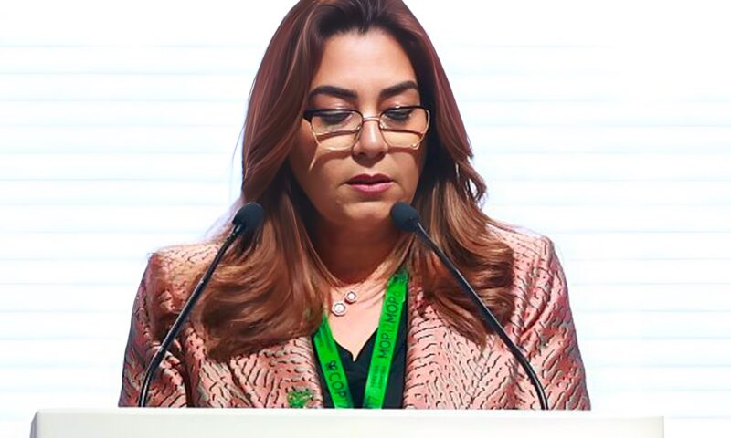 وزيرة التنمية المحلية والبيئة تلقي كلمة مصر بقمة قادة العالم من أجل الطبيعة بأرمينيا
