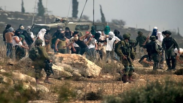 إصابة عدد من المزارعين الفلسطينيين باعتداءات المستوطنين عليهم أثناء قطف ثمار الزيتون بالضفة الغربية
