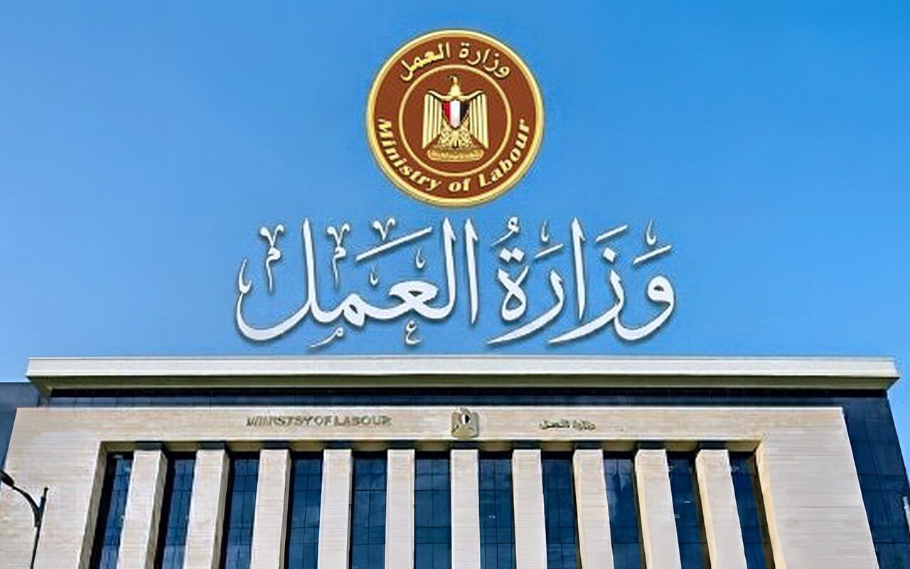 العمل: توافر فرص عمل لأبناء قنا بمشروع محطة الضبعة برواتب تصل إلى 40 ألف جنيه