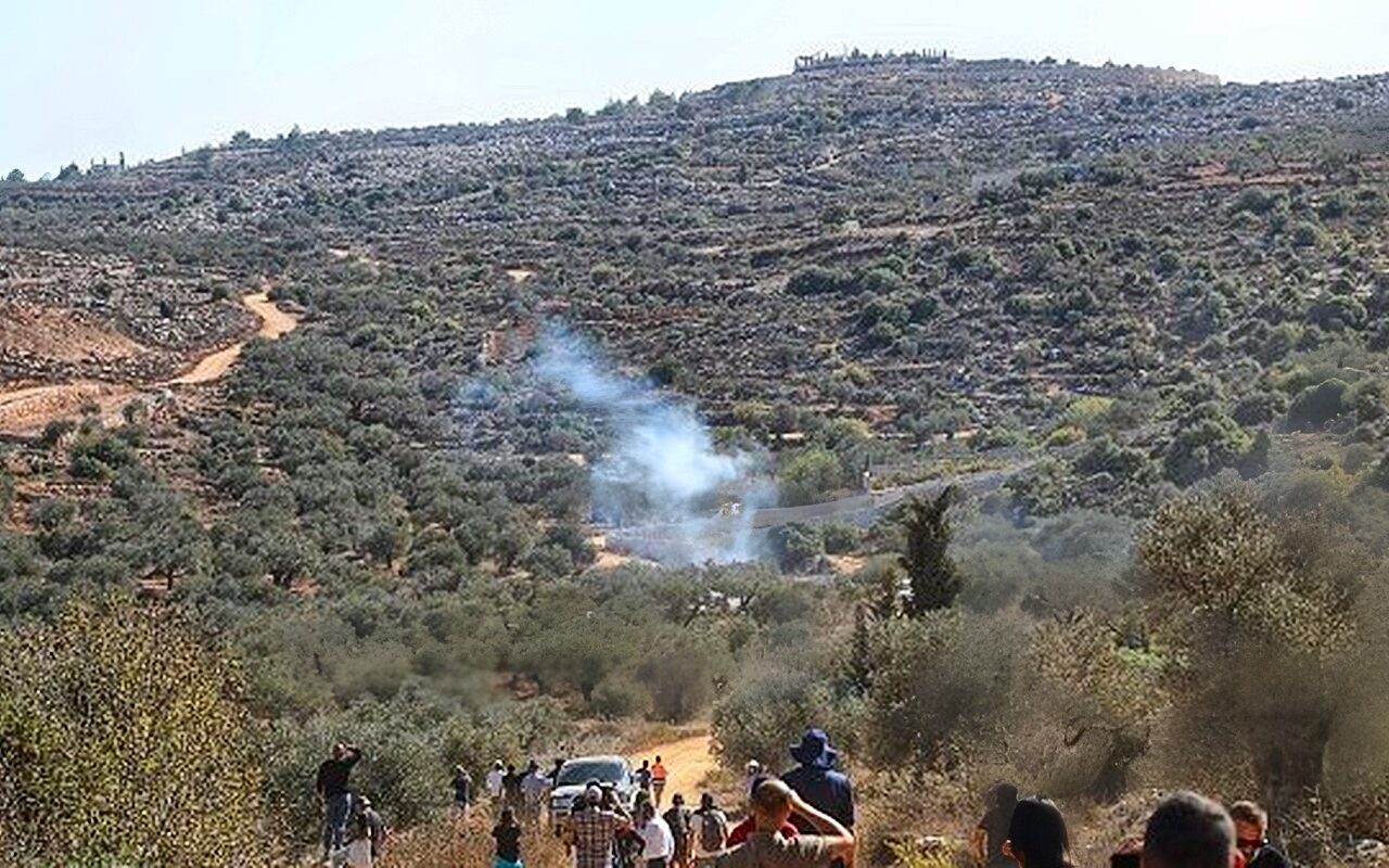 هيئة مقاومة الجدار: 34 اعتداءً للمستوطنين على مزارعي الزيتون الفلسطينيين خلال يوم