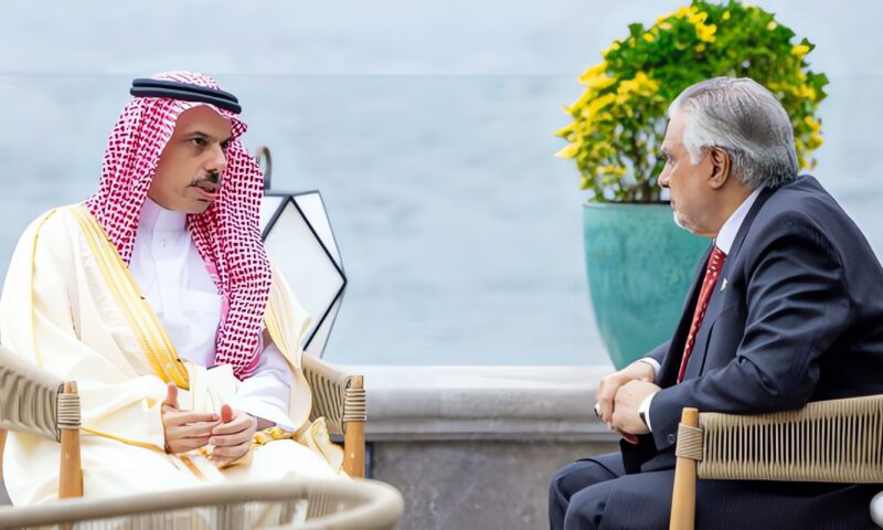 وزيرا خارجية السعودية وباكستان يبحثان علاقات التعاون والمستجدات الإقليمية