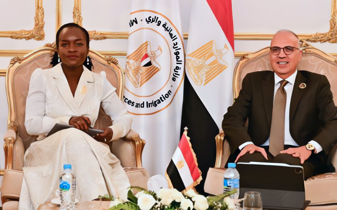 وزير الري يؤكد أهمية مواصلة التشاور بين دول حوض النيل للتوصل لتفاهمات تراعي مصالح جميع الدول
