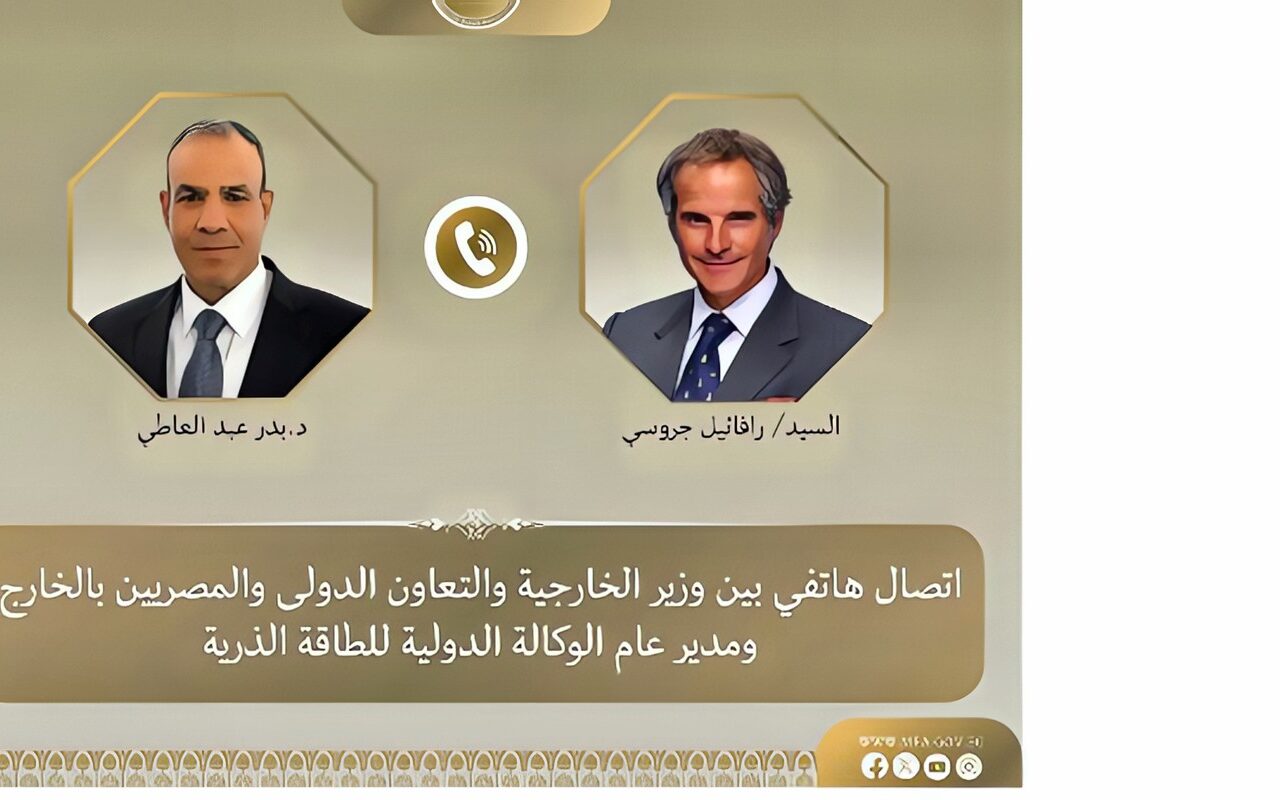 وزير الخارجية ومدير الطاقة الذرية يبحثان التعاون الثنائي والقضايا الإقليمية