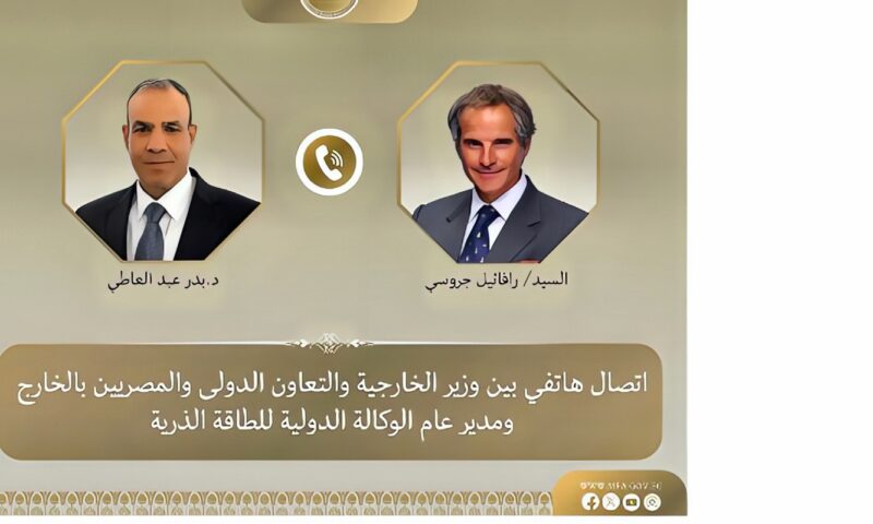 وزير الخارجية ومدير الطاقة الذرية يبحثان التعاون الثنائي والقضايا الإقليمية