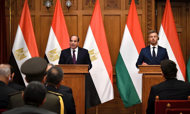 السيسي: لا سلام مستداما في الشرق الأوسط دون تسوية عادلة وشاملة للقضية الفلسطينية