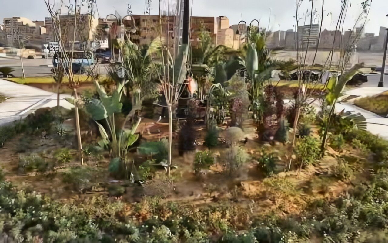 محافظ القاهرة: 10 ملايين جنيه مساهمة من البنك الأهلي المصري لدعم مبادرة تخضير القاهرة