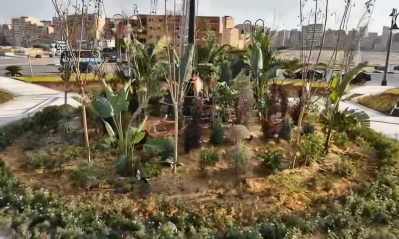 محافظ القاهرة: 10 ملايين جنيه مساهمة من البنك الأهلي المصري لدعم مبادرة تخضير القاهرة