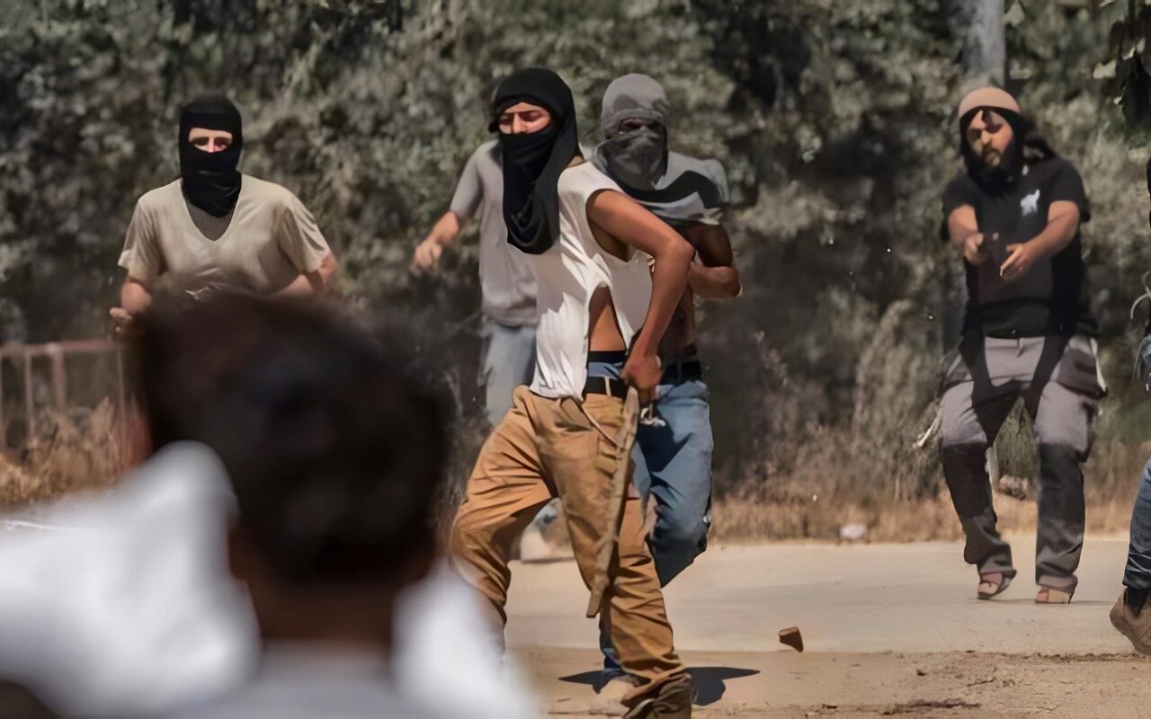 “الجدار والاستيطان” الفلسطينية توثق 22 اعتداء للاحتلال الإسرائيلي والمستوطنين على قاطفي الزيتون