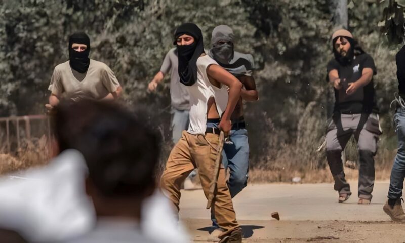 “الجدار والاستيطان” الفلسطينية توثق 22 اعتداء للاحتلال الإسرائيلي والمستوطنين على قاطفي الزيتون