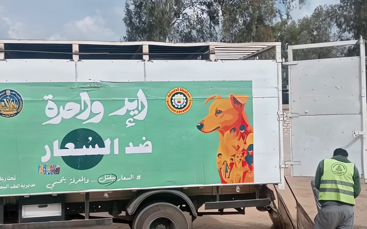 محافظ الدقهلية: استمرار حملات التعامل مع الكلاب الضالة وتكثيف التحرك بالمناطق الأكثر تضررًا