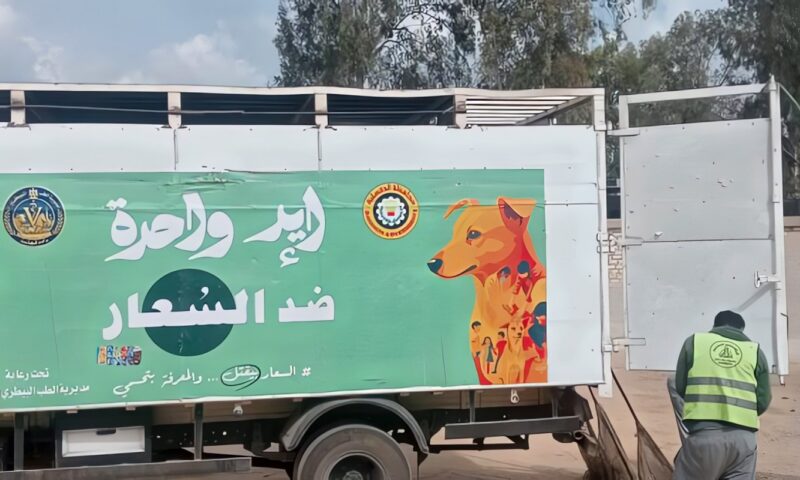 محافظ الدقهلية: استمرار حملات التعامل مع الكلاب الضالة وتكثيف التحرك بالمناطق الأكثر تضررًا